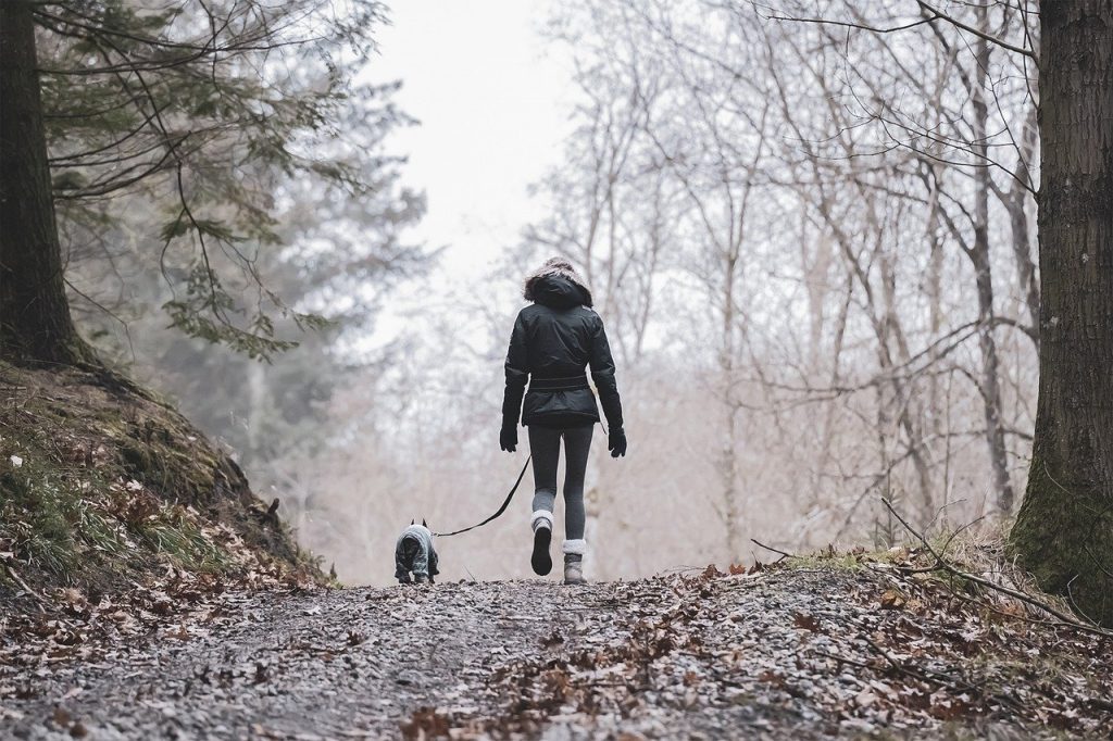 nature, hike, pet-6967075.jpg